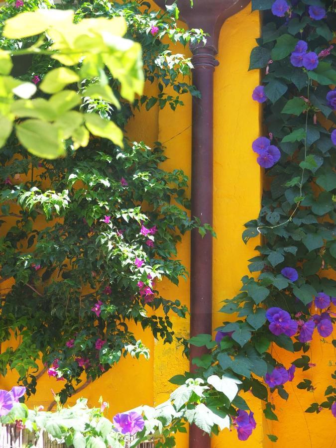 La Maison Jaune Sète Exteriér fotografie