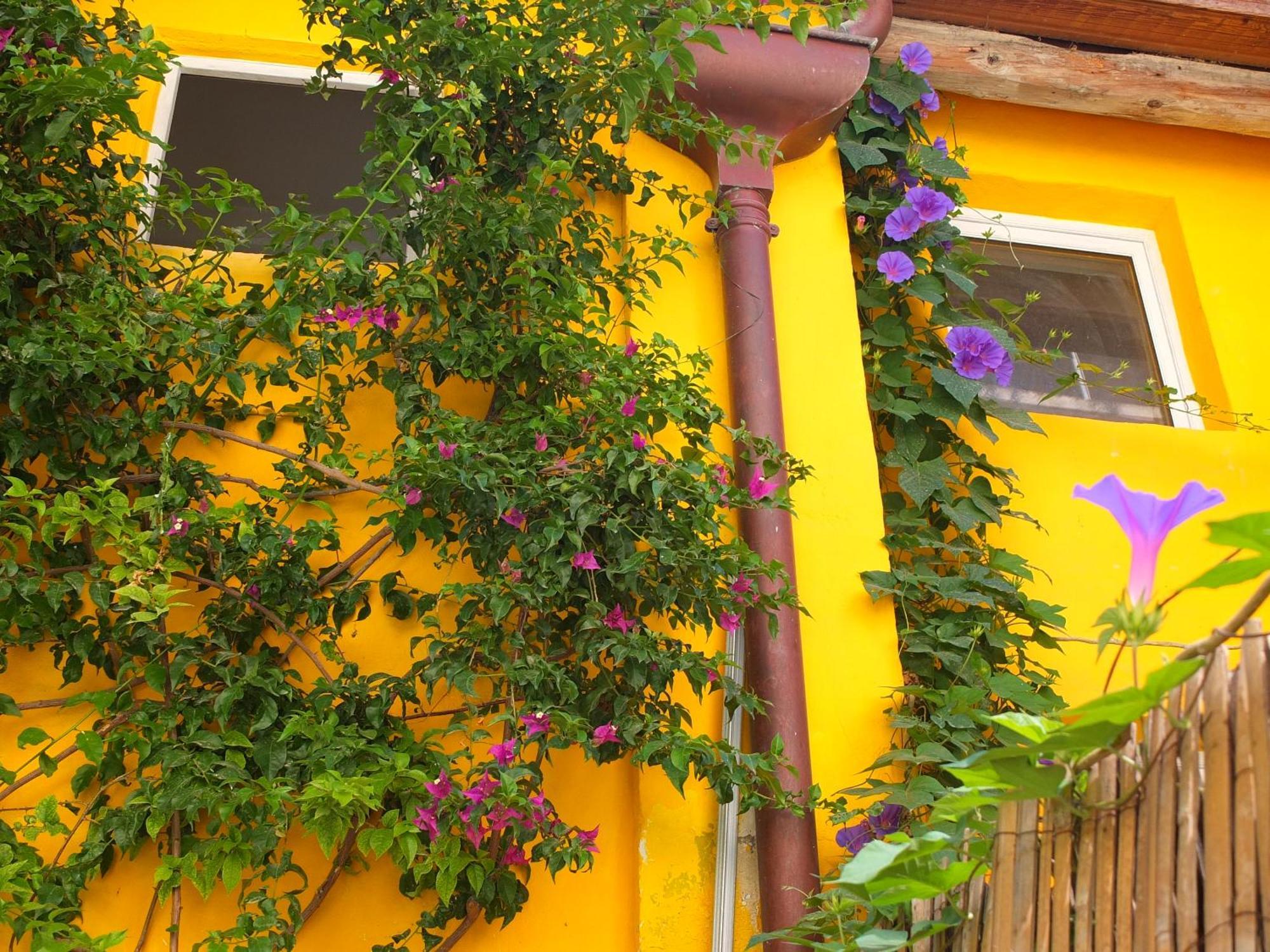 La Maison Jaune Sète Pokoj fotografie
